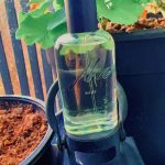 عطر ادکلن هیز آکرو - Haze Akro - بررسی، قیمت و خرید