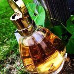 عطر ادکلن اِنچَنتِد شوپارد - Enchanted Chopard - بررسی، قیمت و خرید