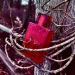 عطر ادکلن بربری بریت رد بربری - Burberry Brit Red Burberry - بررسی، قیمت و خرید
