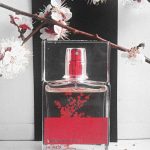 عطر ادکلن این رد بلومینگ بوکت آرماند باسی - In Red Blooming Bouquet Armand Basi - بررسی، قیمت و خرید