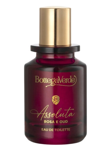 عطر ادکلن آسولوتا رزا اوود بوتگا ورده - Assoluta Rosa e Oud Bottega Verde - بررسی، قیمت و خرید