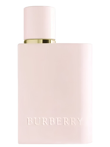 عطر ادکلن هر اینتنس دو هزار و بیست و چهار بربری - Her Intense 2024 Burberry - بررسی، قیمت و خرید