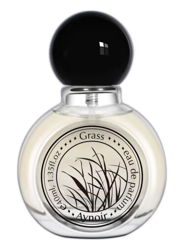 عطر ادکلن گراس اینور - Grass 青草 Aynoir 安喏 - بررسی، قیمت و خرید