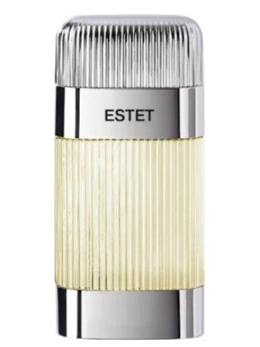عطر ادکلن استت پلاتینیوم بروکارد - Estet Platinum Brocard - بررسی، قیمت و خرید