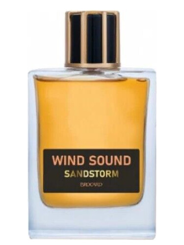 عطر ادکلن سند استورم بروکارد - Sandstorm Brocard - بررسی، قیمت و خرید