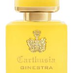 عطر ادکلن اینتنسو دی جینسترا کارتوسیا - Intenso di Ginestra Carthusia - بررسی، قیمت و خرید