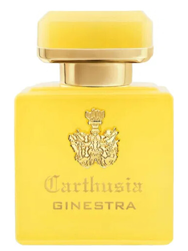 عطر ادکلن اینتنسو دی جینسترا کارتوسیا - Intenso di Ginestra Carthusia - بررسی، قیمت و خرید