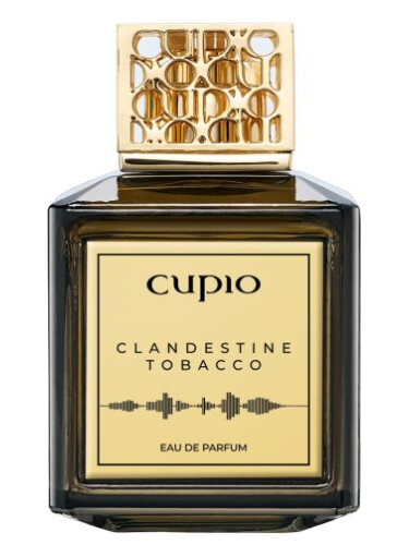 عطر ادکلن کلندستاین توباکو کاپیو - Clandestine Tobacco Cupio - بررسی، قیمت و خرید