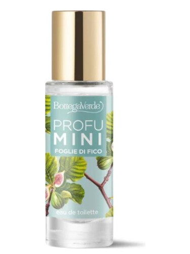 عطر ادکلن فوغلی دی فیکو بوتگا ورده - Foglie di Fico Bottega Verde - بررسی، قیمت و خرید
