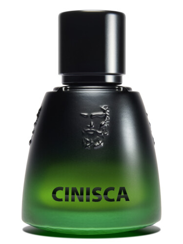 عطر ادکلن سینیسکا آگاتو پرفیوم - Cinisca Agatho Parfum - بررسی، قیمت و خرید