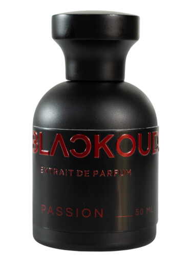 عطر ادکلن پَشِن بلاک‌اَوت - Passion Blackoud - بررسی، قیمت و خرید