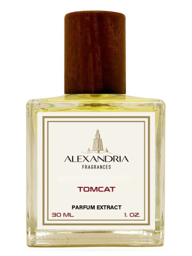 عطر ادکلن تامکت الکساندریا فراگرنسز - Tomcat Alexandria Fragrances - بررسی، قیمت و خرید