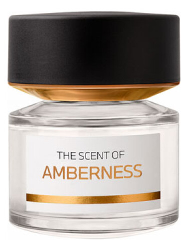 عطر ادکلن امبرنس بی‌ام‌و فریگرنسز - Amberness BMW Fragrances - بررسی، قیمت و خرید