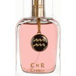 عطر ادکلن آکواریوس فور من سی ان آر کریت - Aquarius for Men CnR Create - بررسی، قیمت و خرید