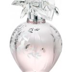 عطر ادکلن دلیسس دی کارتیه ادیشن لیمیتد دو هزار و ده کارتیر - Delices de Cartier Edition Limitee 2010 Cartier - بررسی، قیمت و خرید
