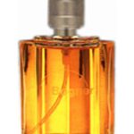 عطر ادکلن باگنر وومن باگنر - Bogner Women Bogner - بررسی، قیمت و خرید