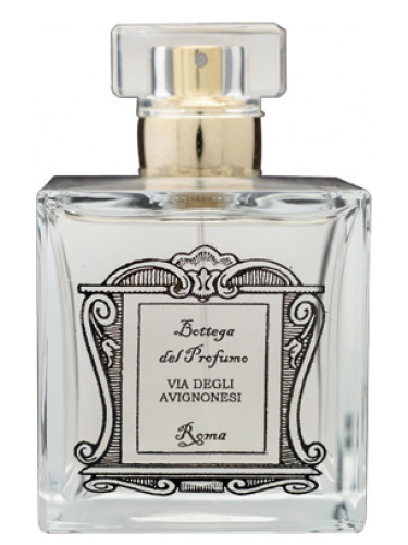 عطر ادکلن ویا دلی آوینیونزی بوتگا دل پروفومو - Via degli Avignonesi Bottega del Profumo - بررسی، قیمت و خرید