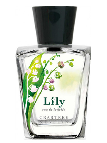 عطر ادکلن لیلی کربتری اند اولین - Lily Crabtree & Evelyn - بررسی، قیمت و خرید