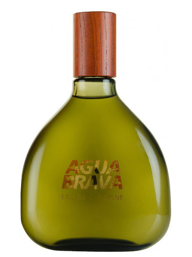 عطر ادکلن آگوا براوا آنتونیو پویگ - Agua Brava Antonio Puig - بررسی، قیمت و خرید