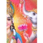 عطر ادکلن موکشا آوا لوکس - Moksha Ava Luxe - بررسی، قیمت و خرید