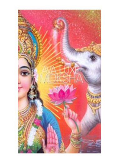 عطر ادکلن موکشا آوا لوکس - Moksha Ava Luxe - بررسی، قیمت و خرید