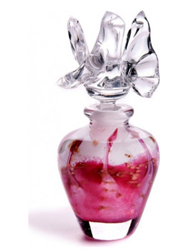 عطر ادکلن ایر جمینی سی ان آر کریت - Air Gemini CnR Create - بررسی، قیمت و خرید