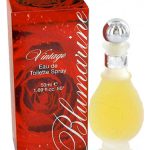 عطر ادکلن وینتج بلومارین - Vintage Blumarine - بررسی، قیمت و خرید