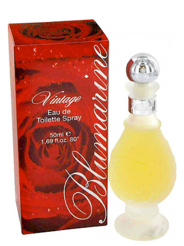 عطر ادکلن وینتج بلومارین - Vintage Blumarine - بررسی، قیمت و خرید