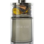 عطر ادکلن اکورد بویز اجمل - Accord Boise Ajmal - بررسی، قیمت و خرید