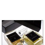 عطر ادکلن شیشا آوا لوکس - Shisha Ava Luxe - بررسی، قیمت و خرید
