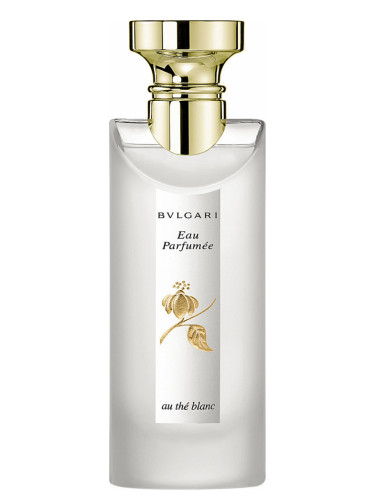 عطر ادکلن او پارفومه او ته بلانک بولگاری - Eau Parfumee au The Blanc Bvlgari - بررسی، قیمت و خرید