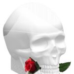 عطر ادکلن اد هاردی اسکالز اند رزز فور هر کریستین اودیه - Ed Hardy Skulls & Roses for Her Christian Audigier - بررسی، قیمت و خرید