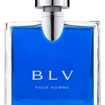 عطر ادکلن بلیو پور هوم بولگاری - BLV Pour Homme Bvlgari - بررسی، قیمت و خرید