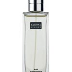 عطر ادکلن پچولی من بجورک اند بریز - Patchouli Man Bjork and Berries - بررسی، قیمت و خرید