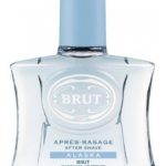 عطر ادکلن بروت آلاسکا بروت پرفیومز پرستیژ - Brut Alaska Brut Parfums Prestige - بررسی، قیمت و خرید