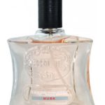 عطر ادکلن بروت ماسک بروت پرفیومز پرستیژ - Brut Musk Brut Parfums Prestige - بررسی، قیمت و خرید