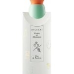 عطر ادکلن پتیت ا مامان بولگاری - Petits et Mamans Bvlgari - بررسی، قیمت و خرید