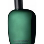 عطر ادکلن امیزینگ گرین کام د گارسون - Amazingreen Comme des Garcons - بررسی، قیمت و خرید