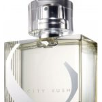 عطر ادکلن سیتی راش فور هر ایوان - City Rush for Her Avon - بررسی، قیمت و خرید