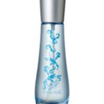 عطر ادکلن ماسکیو دی بی‌وی بته‌گا ورده - Muschio di BV Bottega Verde - بررسی، قیمت و خرید