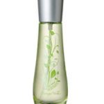 عطر ادکلن ده ورد بوتگا ورد - The Verde Bottega Verde - بررسی، قیمت و خرید
