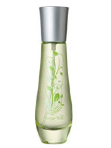 عطر ادکلن ده ورد بوتگا ورد - The Verde Bottega Verde - بررسی، قیمت و خرید