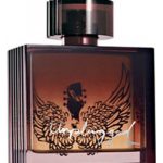 عطر ادکلن آنپلاگد فور هیم ایون - Unplugged for Him Avon - بررسی، قیمت و خرید