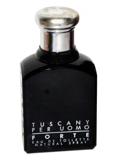 عطر ادکلن توسکانی فورته پر اومو آرامیس - Tuscany Forte Per Uomo Aramis - بررسی، قیمت و خرید
