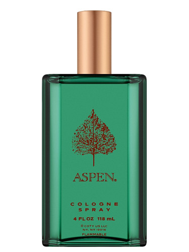 عطر ادکلن اسپن فور من کوتی - Aspen For Men Coty - بررسی، قیمت و خرید