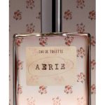 عطر ادکلن اری امریکن ایگل - Aerie American Eagle - بررسی، قیمت و خرید