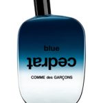 عطر ادکلن بلو سدرات کوم د گارسون - Blue Cedrat Comme des Garcons - بررسی، قیمت و خرید