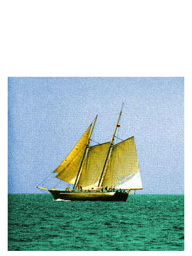 عطر ادکلن سی وود عبدالسلام عطارز پرفیومز - Sea Wood Abdes Salaam Attars Perfumes - بررسی، قیمت و خرید