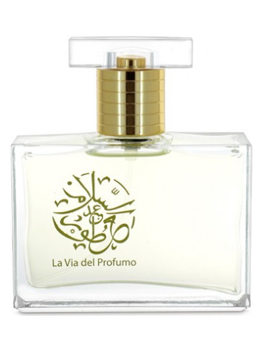 عطر ادکلن هولی واتر عطرهای عبدالسلام عطار - Holy Water Abdes Salaam Attars Perfumes - بررسی، قیمت و خرید