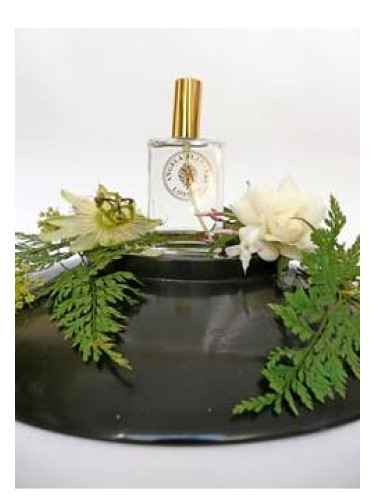 عطر ادکلن وایت فلاورز آنجلا فلاندرز - White Flowers Angela Flanders - بررسی، قیمت و خرید
